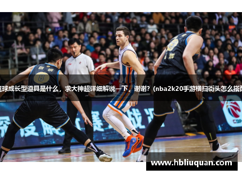 FS街头篮球成长型道具是什么，求大神超详细解说一下，谢谢？(nba2k20手游横扫街头怎么搭配装备？)